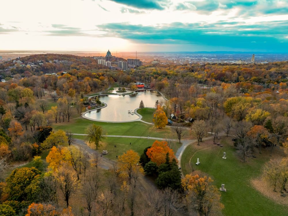 Mount Royal Park